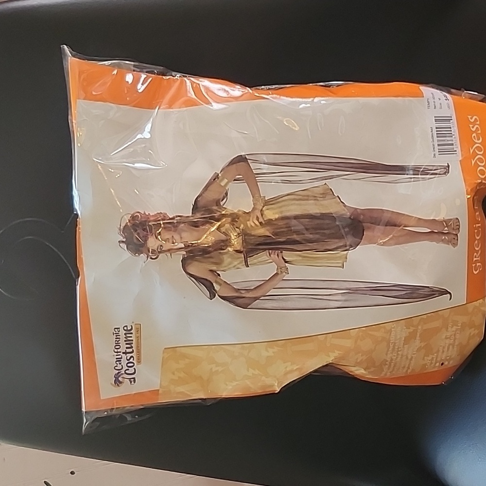 Greek goddess costume